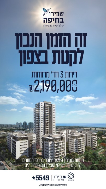 סטורי לפרויקט נדל״ן לפרויקט שבירו חיפה, דוגמה 1