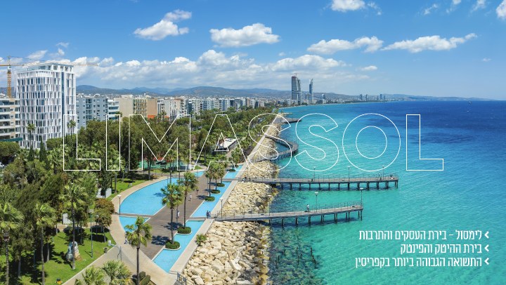 מצגת פרויקט לפרויקט Lev Limassol, דוגמה 8