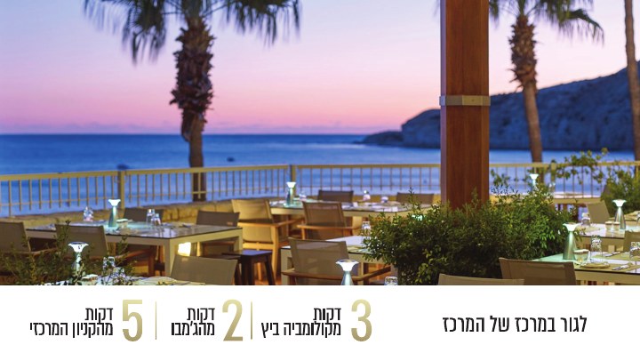 מצגת פרויקט לפרויקט Lev Limassol, דוגמה 18