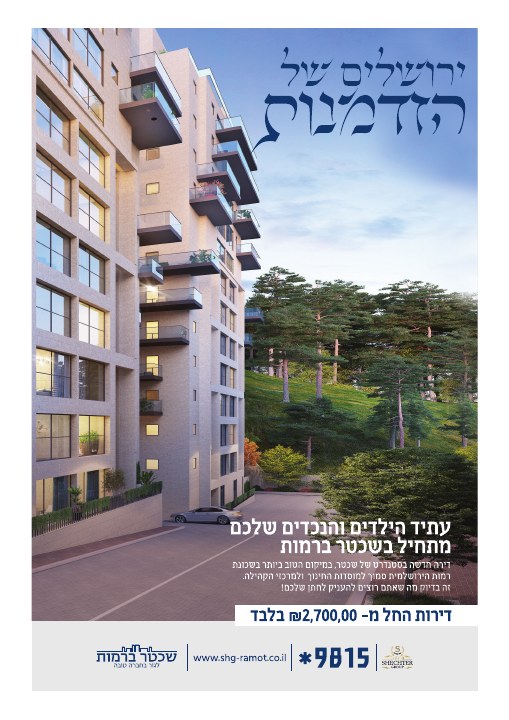 קמפיין נדל״ן לפרויקט שכטר ברמות ירושלים, דוגמה 1