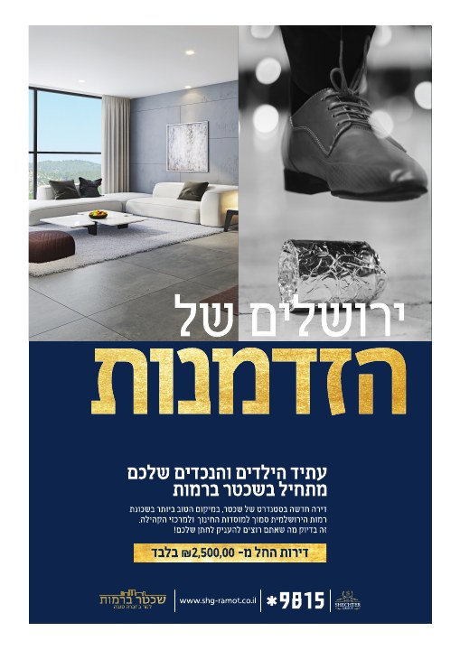 קמפיין נדל״ן לפרויקט שכטר ברמות ירושלים, דוגמה 5
