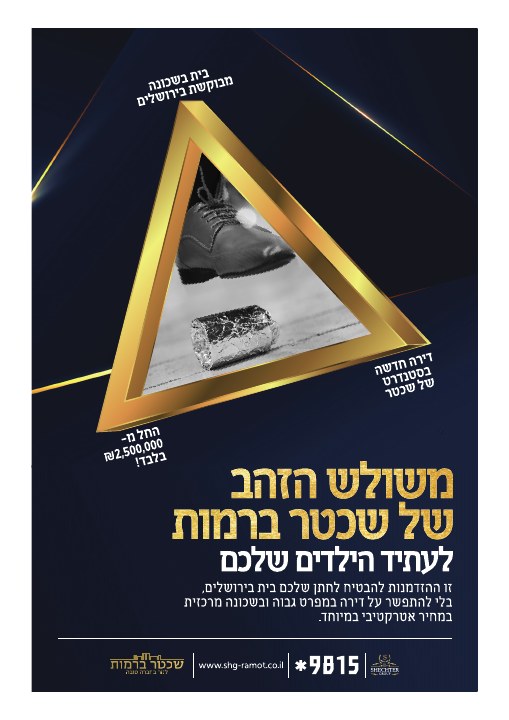 קמפיין נדל״ן לפרויקט שכטר ברמות ירושלים, דוגמה 8